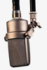 Mic Image